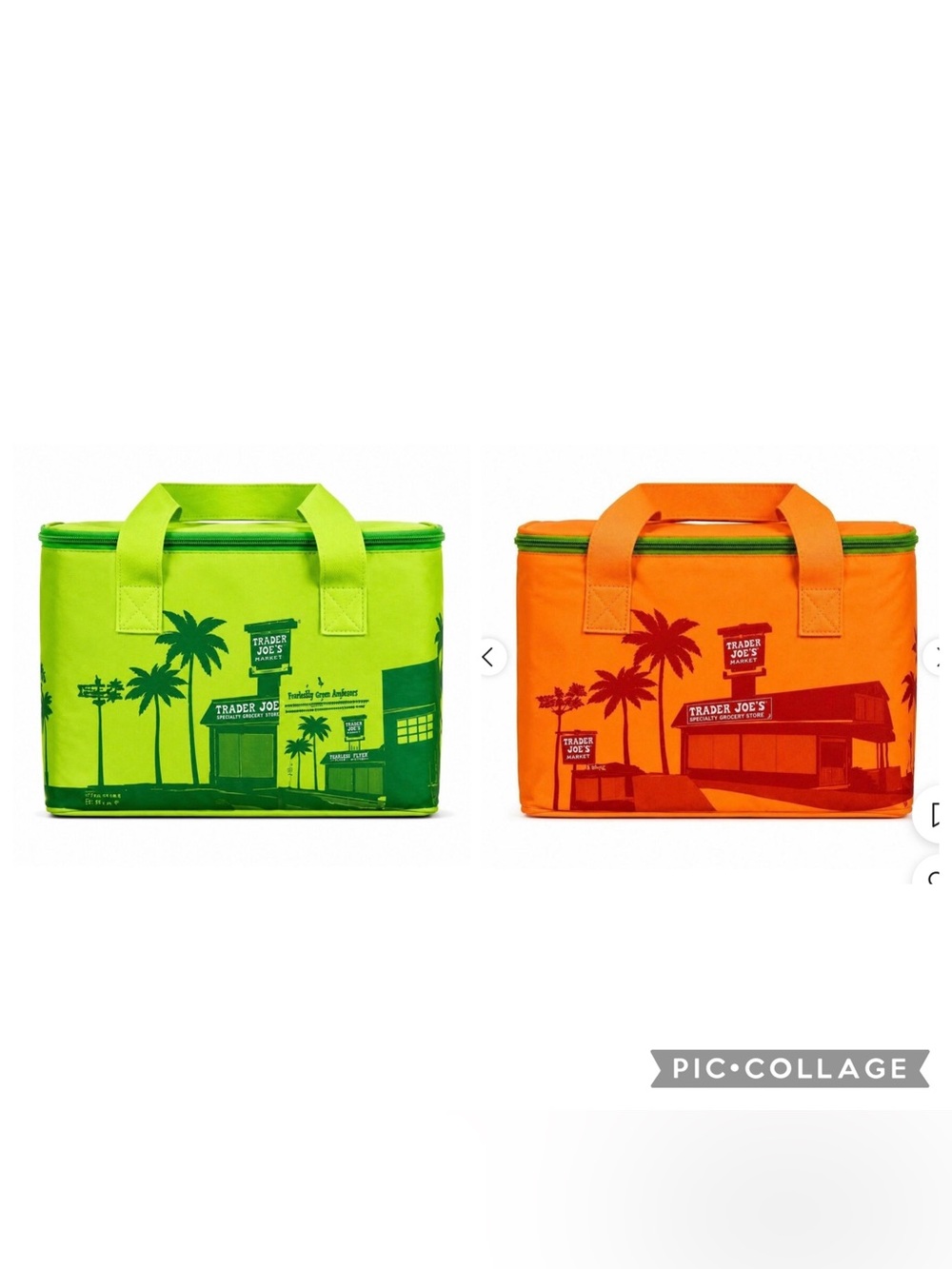 Trader Joe's Insulated Bag